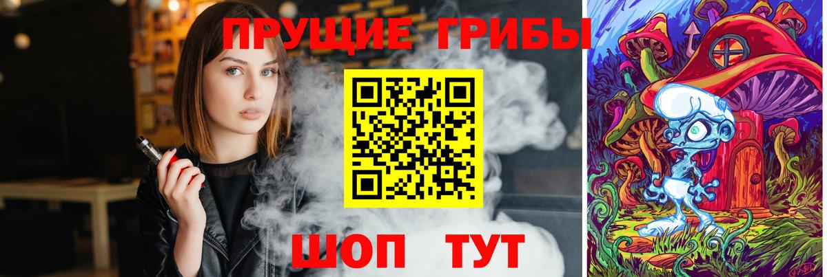 Галлюциногенные грибы Psilocybine cubensis  Вход с VPN  Псилоцибиновые грибы мицелий  Биробиджан 